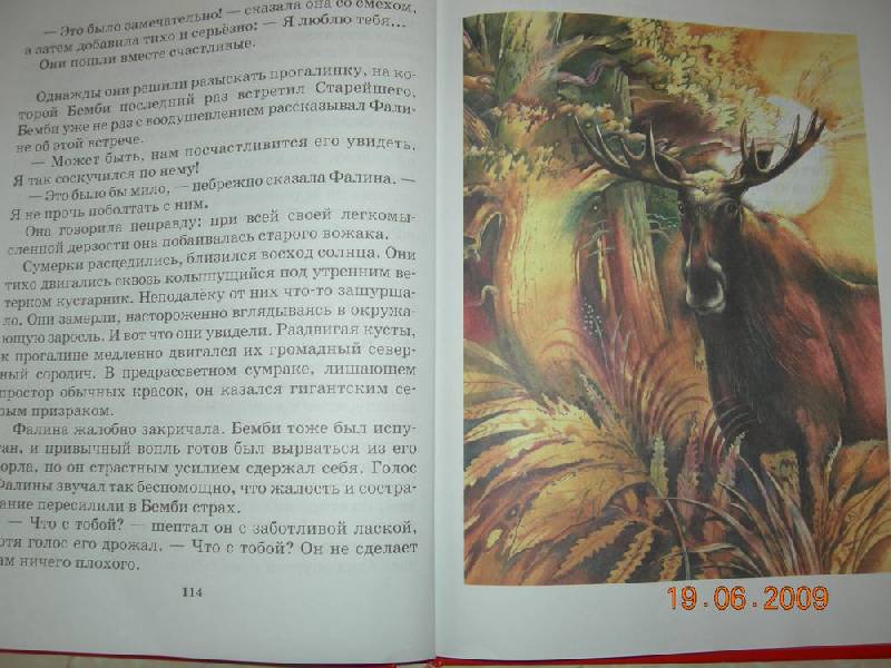 Иллюстрация 21 из 37 для Бемби: Лесная сказка - Феликс Зальтен | Лабиринт - книги. Источник: Соловей