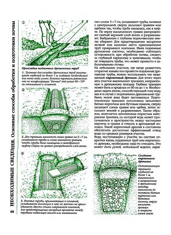 Иллюстрация 22 из 41 для Большая книга садовода и огородника - Октябрина Ганичкина | Лабиринт - книги. Источник: Риззи