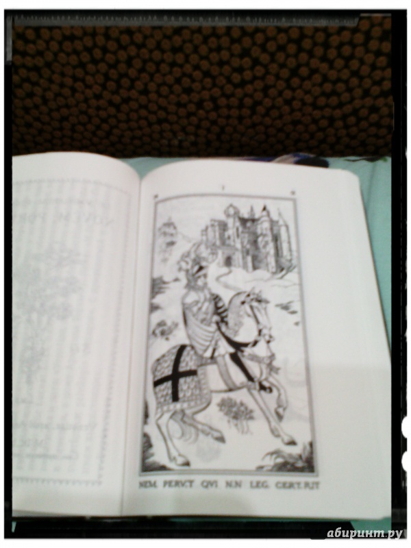 Иллюстрация 30 из 39 для Клуб Дюма, или Тень Ришелье - Артуро Перес-Реверте | Лабиринт - книги. Источник: Klementinchen