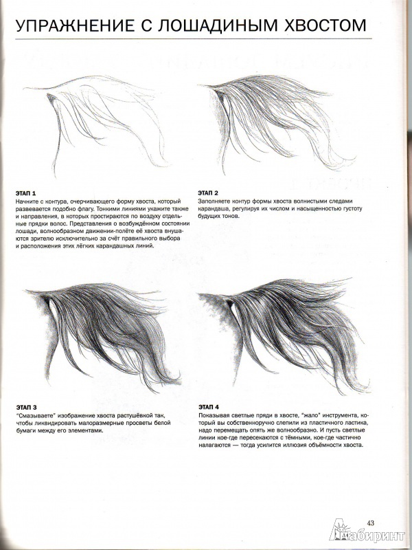 Иллюстрация 2 из 8 для Учимся рисовать лошадей - Ли Хэммонд | Лабиринт - книги. Источник: Трубадур