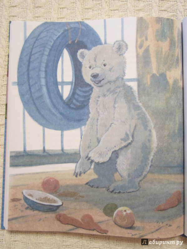 Иллюстрация 37 из 43 для Фомка - белый медвежонок - Вера Чаплина | Лабиринт - книги. Источник: ЮлияО