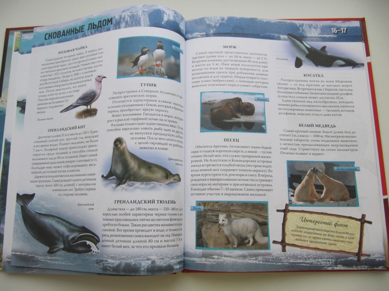 Иллюстрация 8 из 17 для Атлас животных - Цеханская, Стрелков | Лабиринт - книги. Источник: DoNNa.С