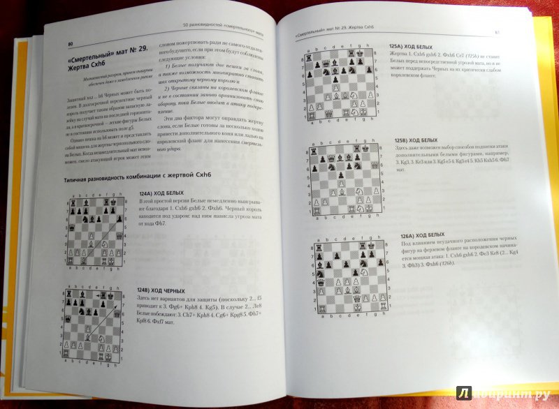 Иллюстрация 19 из 30 для Шахматы для детей. Поставь папе мат! - Мюррей Чендлер | Лабиринт - книги. Источник: nata_romina