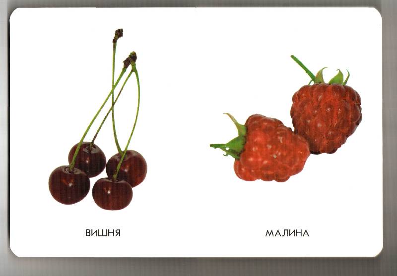 Иллюстрация 7 из 15 для 22 картинки: Овощи, фрукты | Лабиринт - книги. Источник: Апельсинка