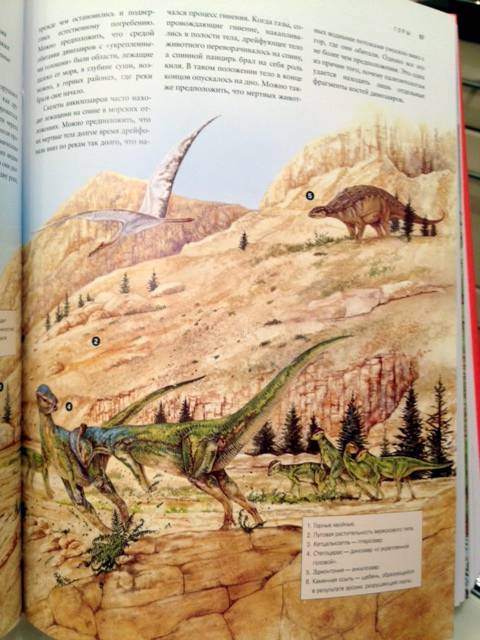 Иллюстрация 25 из 25 для Динозавры. Визуальная энциклопедия - Дугал Диксон | Лабиринт - книги. Источник: Алехина  Ксения