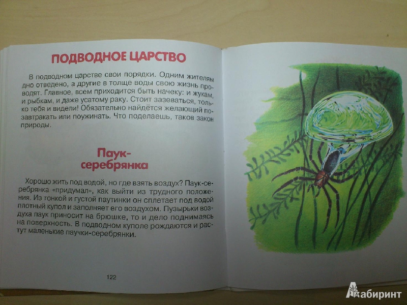 Иллюстрация 14 из 22 для Родная природа - Александр Тихонов | Лабиринт - книги. Источник: пеларгония