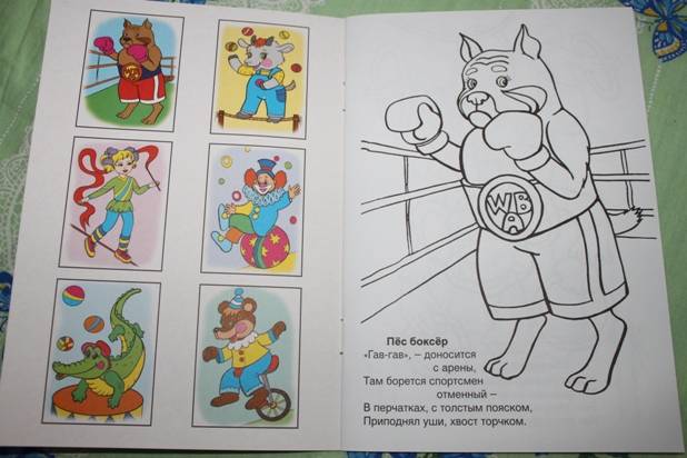 Иллюстрация 2 из 5 для Волшебный цирк - М. Скребцова | Лабиринт - книги. Источник: Павлинова  Ирина Евгеньевна