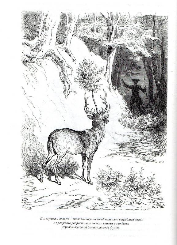 Иллюстрация 17 из 48 для Невероятные путешествия Барона Мюнхгаузена - Готфрид Бюргер | Лабиринт - книги. Источник: Zhanna