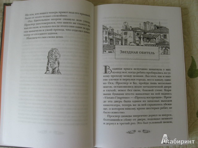 Иллюстрация 13 из 40 для Король воров - Корнелия Функе | Лабиринт - книги. Источник: Юта