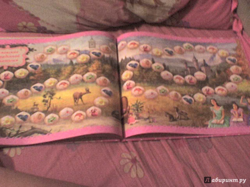Иллюстрация 13 из 15 для Настольная книга принцессы | Лабиринт - книги. Источник: Роза с шипами