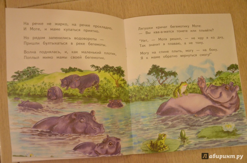 Иллюстрация 13 из 32 для Слонёнок Санни - Владимир Борисов | Лабиринт - книги. Источник: QZX