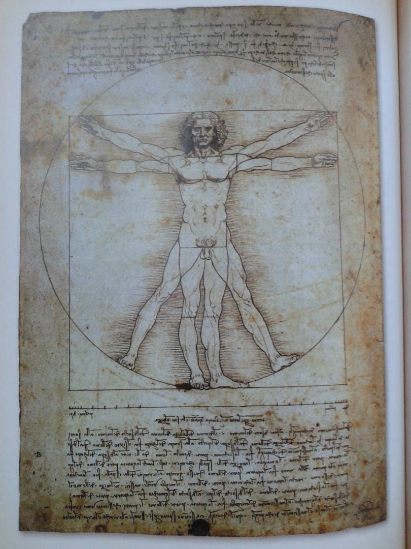 Иллюстрация 24 из 27 для Рукописи Леонардо да Винчи | Лабиринт - книги. Источник: Старостин  Евгений