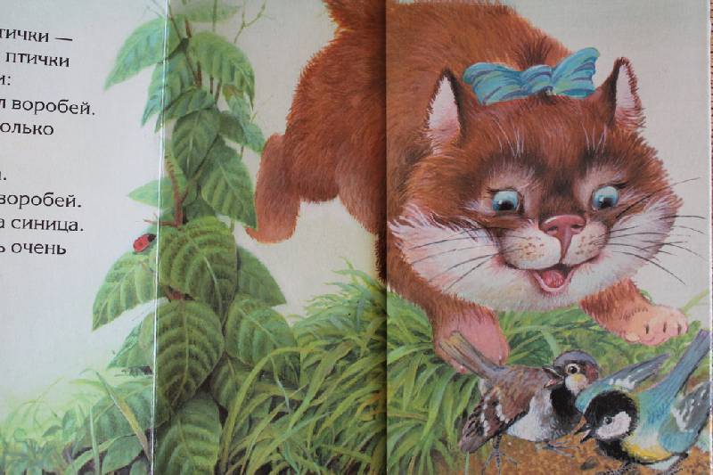 Иллюстрация 24 из 28 для Забавные истории про животных - Елена Янушко | Лабиринт - книги. Источник: Света-Лето