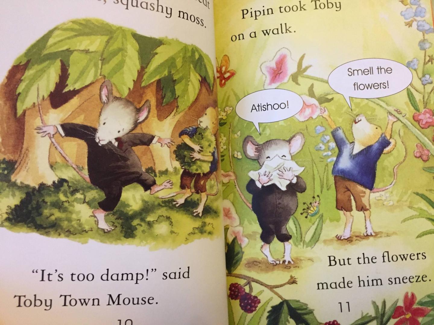 Иллюстрация 17 из 25 для The Town Mouse and The Country Mouse - Susanna Davidson | Лабиринт - книги. Источник: u.p