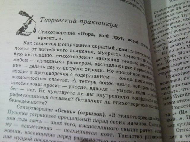 Иллюстрация 4 из 19 для В мире литературы. 10 класс - Кутузов, Киселев, Романичева, Мурзак, Павлов, Ястребов | Лабиринт - книги. Источник: swallow_ann