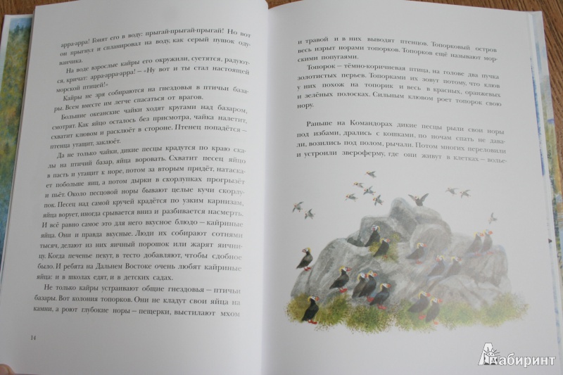 Иллюстрация 48 из 58 для Рассказы о природе, о птицах зверях и разных краях - Геннадий Снегирев | Лабиринт - книги. Источник: kolobus