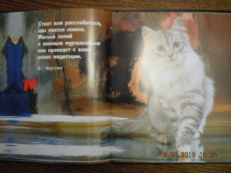 Иллюстрация 14 из 30 для Кошки - это духи, спустившиеся на землю | Лабиринт - книги. Источник: Девушка с кошкой