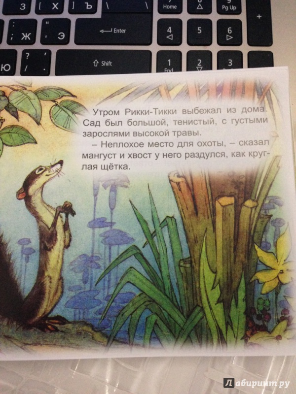 Иллюстрация 5 из 21 для Рикки-Тикки-Тави - Редьярд Киплинг | Лабиринт - книги. Источник: Литвинова  Виктория Сергеевна