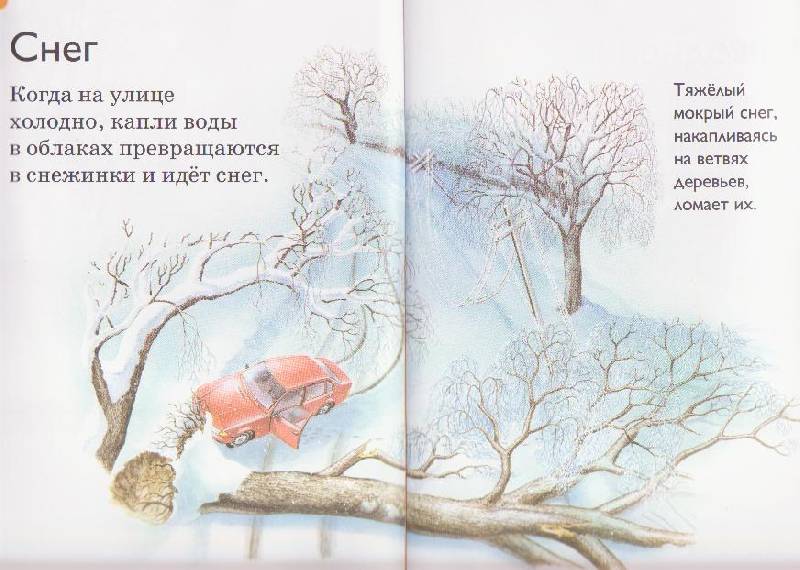 Иллюстрация 6 из 12 для Погода - Дениз Райан | Лабиринт - книги. Источник: Ёжик