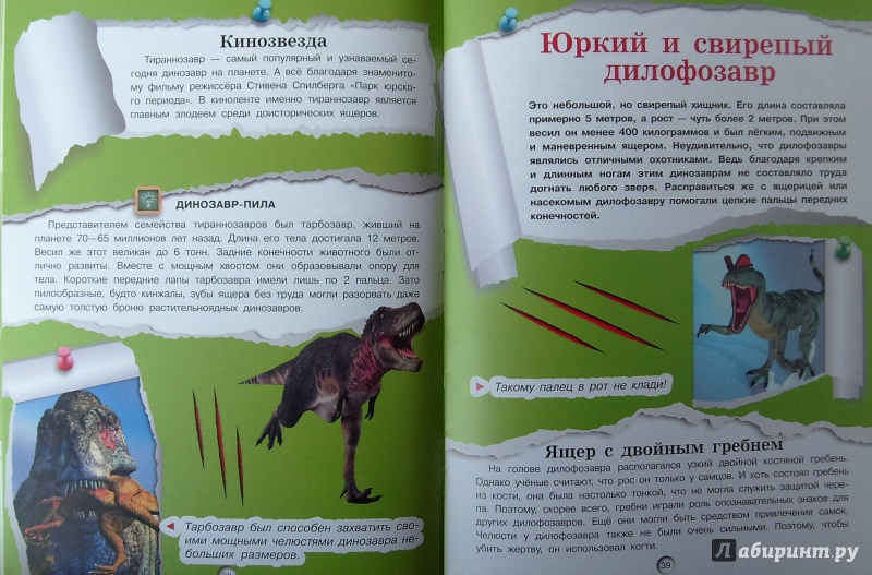 Иллюстрация 20 из 24 для Динозавры - Дмитрий Кошевар | Лабиринт - книги. Источник: Соловьев  Владимир