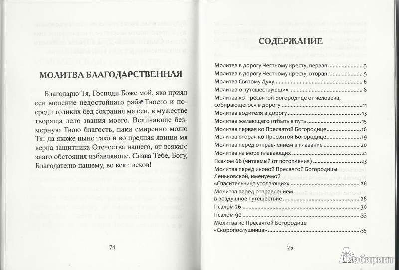 Иллюстрация 4 из 5 для 33 православные молитвы в дорогу - Елена Елецкая | Лабиринт - книги. Источник: Granatka