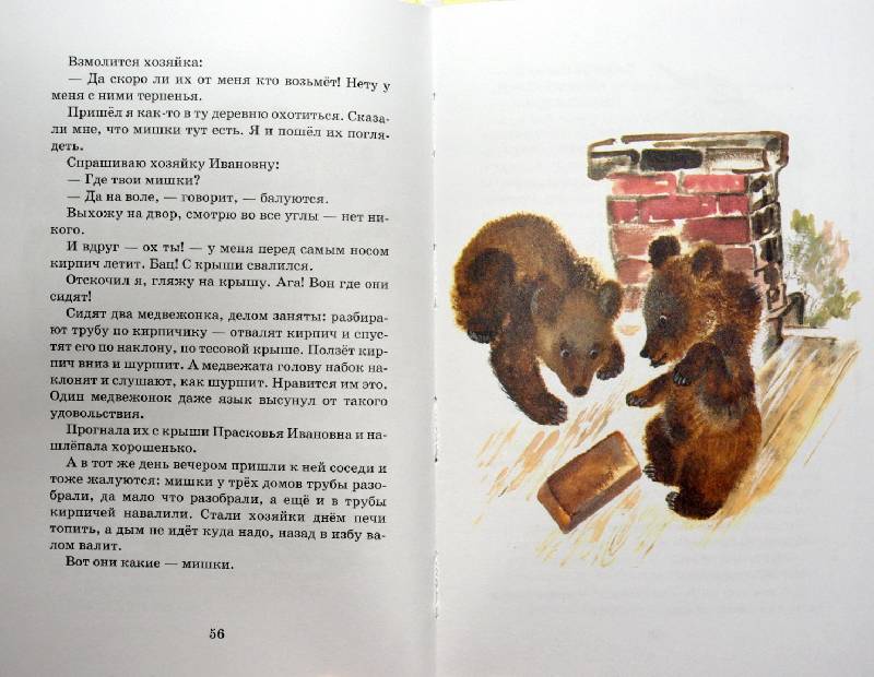 Иллюстрация 47 из 62 для Тюпа, Томка и сорока - Евгений Чарушин | Лабиринт - книги. Источник: Валерия