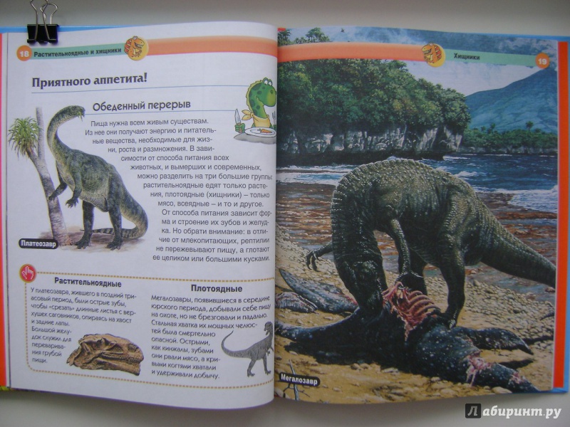 Иллюстрация 21 из 48 для Динозавры - Мария Боцци | Лабиринт - книги. Источник: Саша Юрина