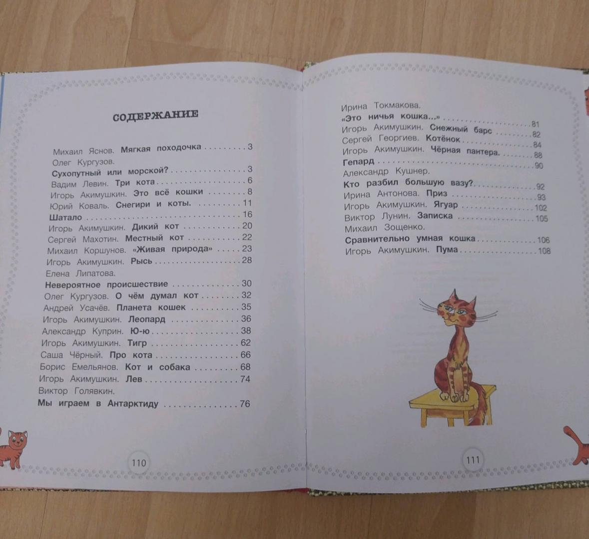 Иллюстрация 28 из 30 для Большая книга про кошек - Зощенко, Яснов, Токмакова | Лабиринт - книги. Источник: Потокова  Елена
