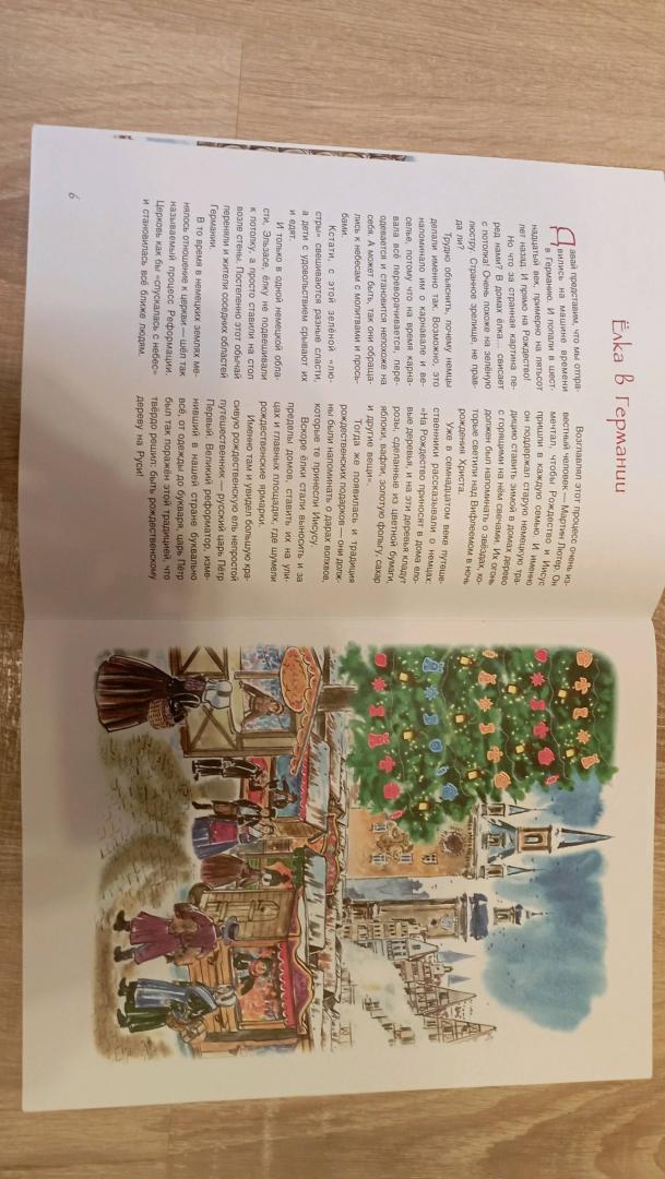 Иллюстрация 51 из 54 для История Новогодней елки - Анна Рапопорт | Лабиринт - книги. Источник: Лабиринт