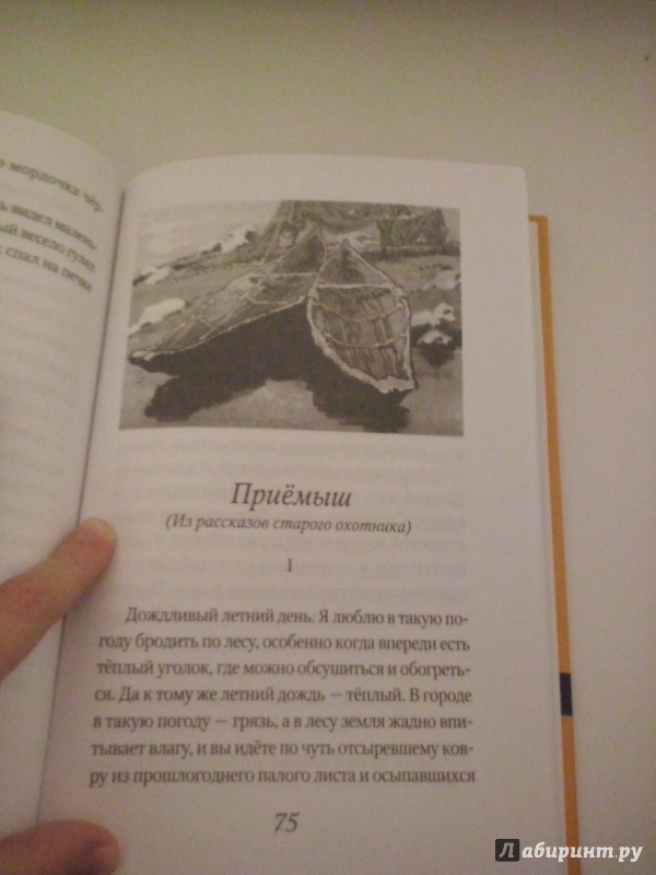 Иллюстрация 16 из 33 для Серая Шейка - Дмитрий Мамин-Сибиряк | Лабиринт - книги. Источник: вячеслав анатольевич