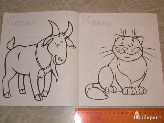 Иллюстрация 2 из 5 для Забавные домашние животные | Лабиринт - книги. Источник: Iwolga