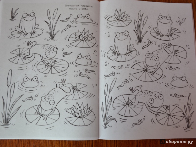 Иллюстрация 20 из 42 для Детеныши животных. Раскраска | Лабиринт - книги. Источник: Орлова Лариса