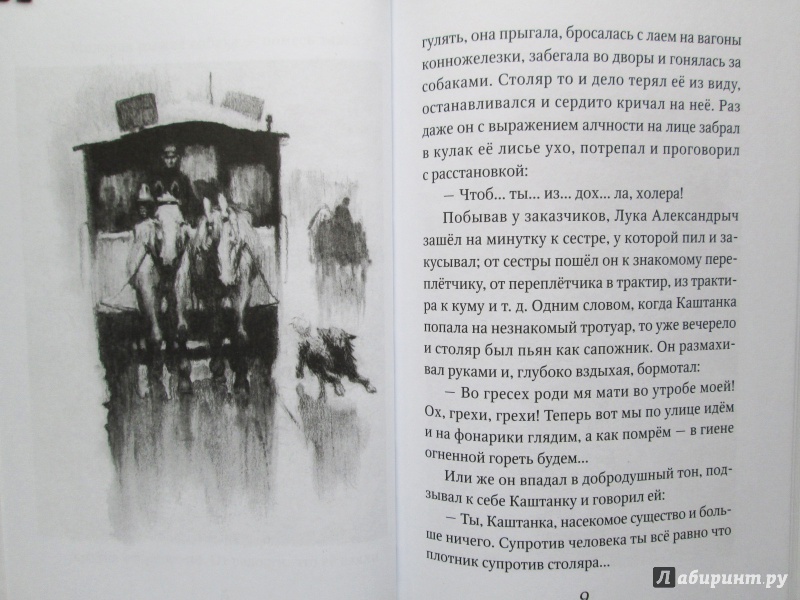Иллюстрация 6 из 28 для Каштанка - Антон Чехов | Лабиринт - книги. Источник: Зеленая шляпа