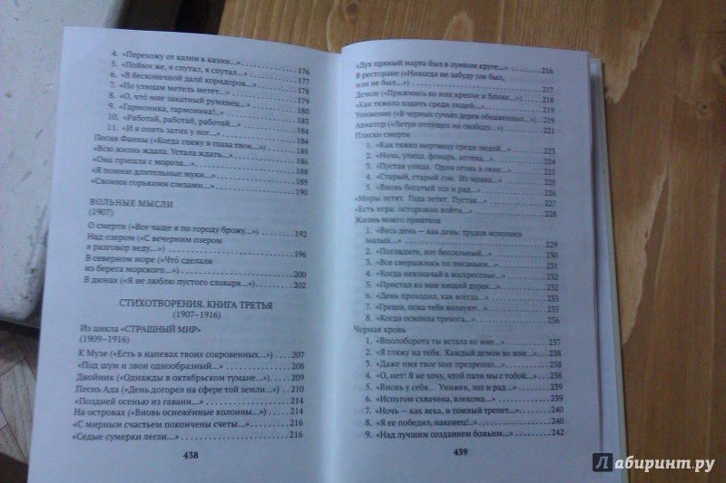 Иллюстрация 10 из 37 для Незнакомка. Двенадцать - Александр Блок | Лабиринт - книги. Источник: Никонов Даниил