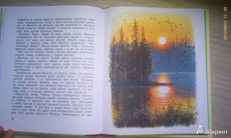 Иллюстрация 14 из 14 для Стрижонок Скрип - Виктор Астафьев | Лабиринт - книги. Источник: Мама в квадрате!