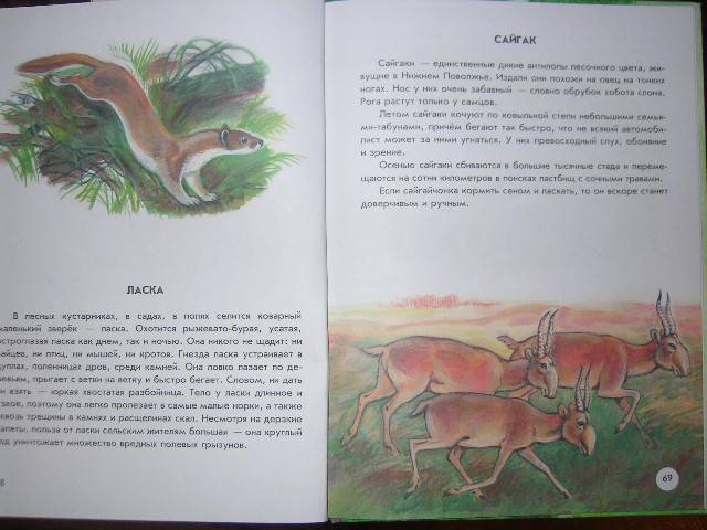 Иллюстрация 36 из 40 для Азбука живой природы - Александр Барков | Лабиринт - книги. Источник: Матюша
