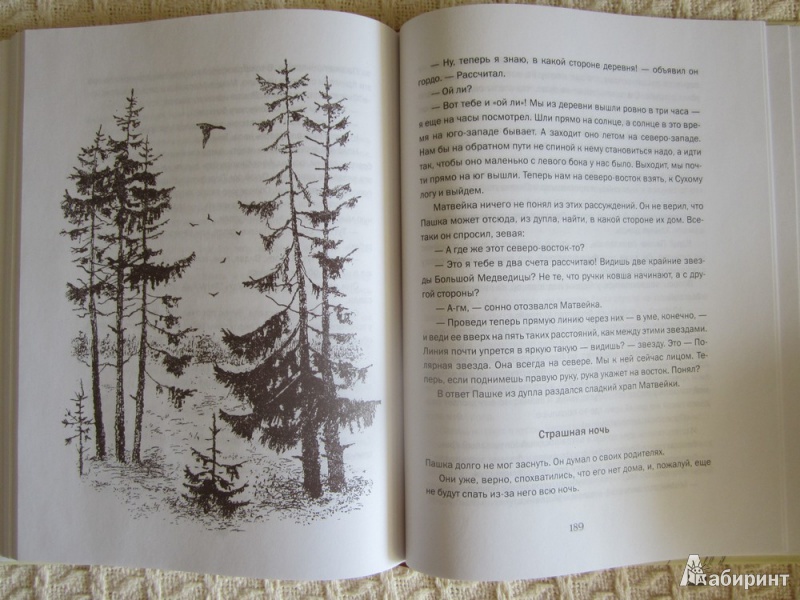 Иллюстрация 14 из 17 для Лесные были и небылицы - Виталий Бианки | Лабиринт - книги. Источник: ЮлияО