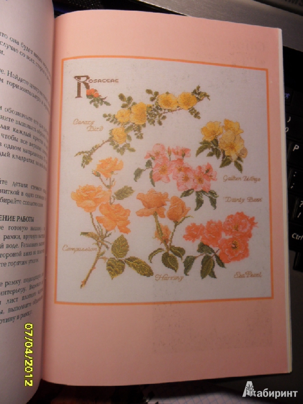 Иллюстрация 14 из 15 для Вышивка крестиком. Цветочные композиции | Лабиринт - книги. Источник: Ankosik