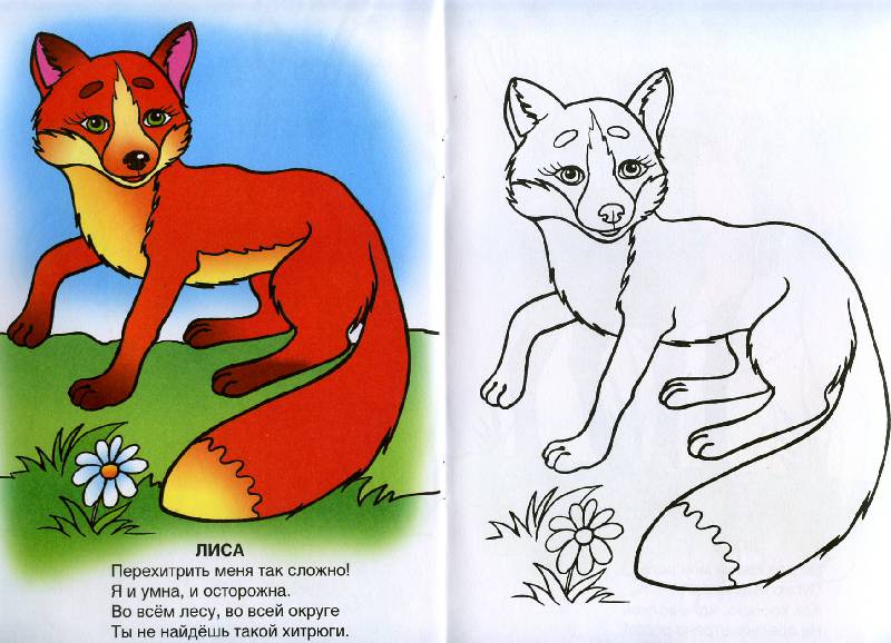 Иллюстрация 6 из 10 для Ребятам о зверята - Татьяна Коваль | Лабиринт - книги. Источник: Росинка