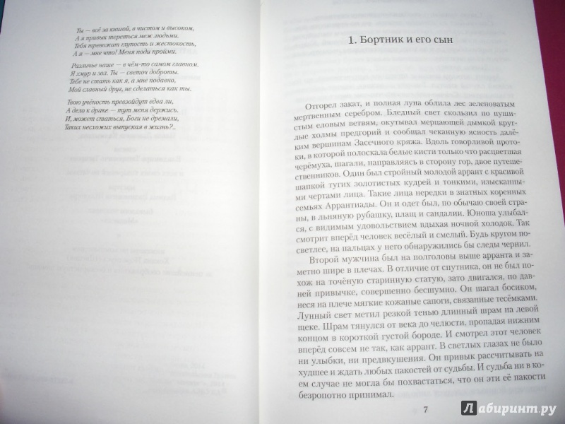 Иллюстрация 7 из 20 для Волкодав. Право на поединок - Мария Семенова | Лабиринт - книги. Источник: Tiger.