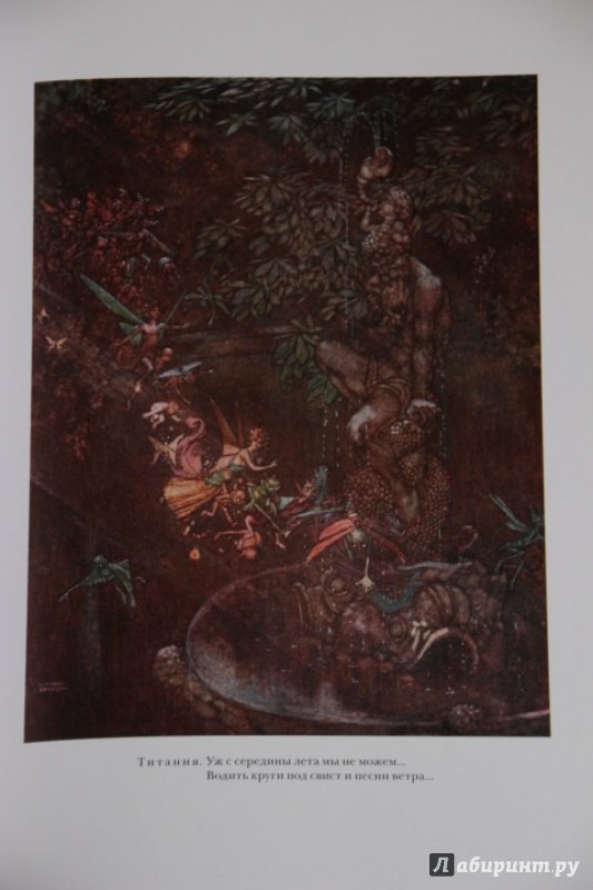 Иллюстрация 14 из 48 для Сон в летнюю ночь. Двенадцатая ночь - Уильям Шекспир | Лабиринт - книги. Источник: Blackboard_Writer