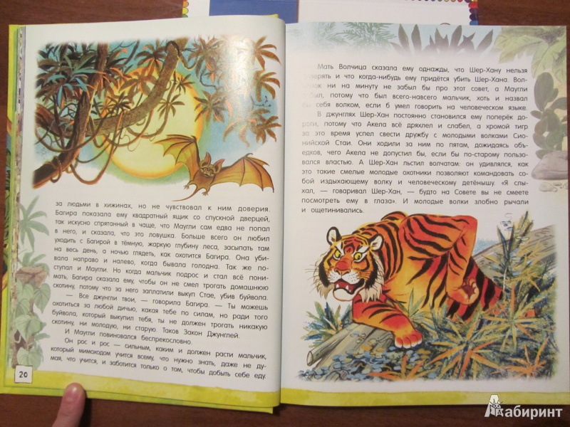 Иллюстрация 29 из 97 для Маугли - Редьярд Киплинг | Лабиринт - книги. Источник: Сандракова Юля