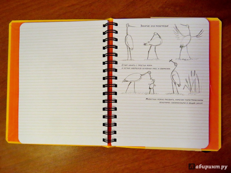 Иллюстрация 23 из 24 для SketchBook. Книга для записей и зарисовок | Лабиринт - канцтовы. Источник: T-sha