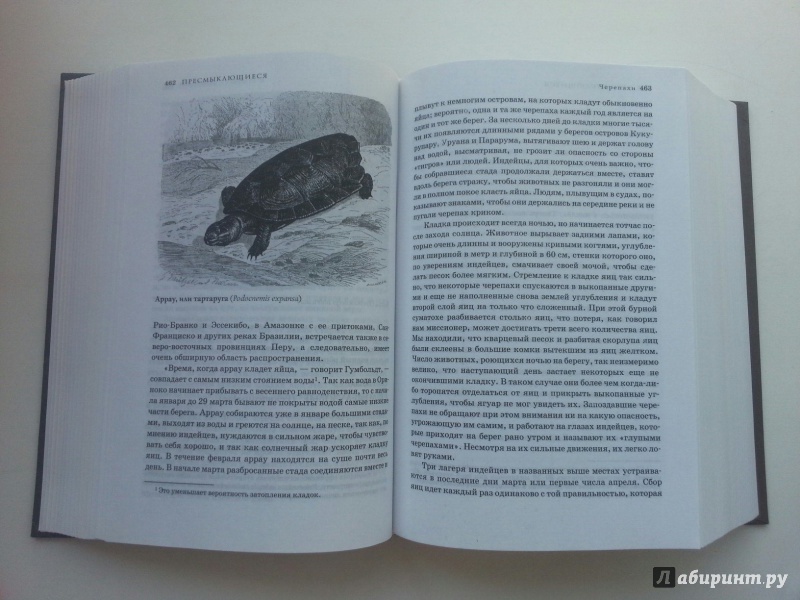 Иллюстрация 54 из 58 для Жизнь животных в одном томе - Альфред Брем | Лабиринт - книги. Источник: VALERIYA