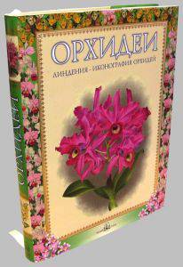 Иллюстрация 36 из 38 для Орхидеи. Линдения - иконография орхидей | Лабиринт - книги. Источник: Bad Girl