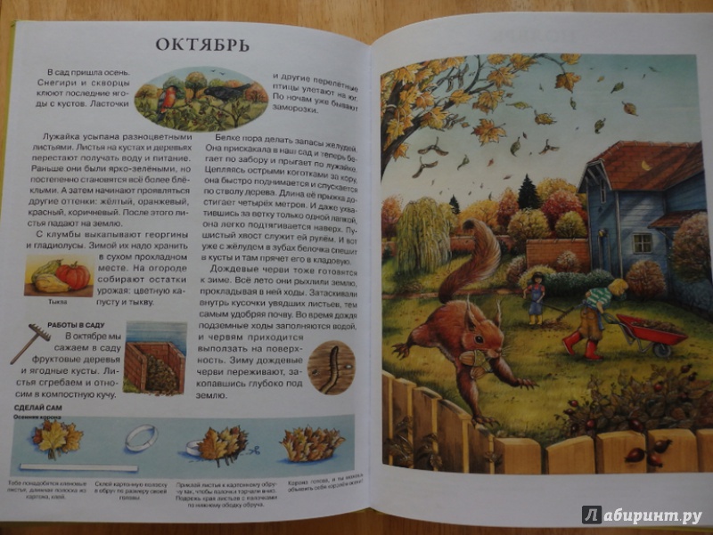 Иллюстрация 13 из 43 для Год в саду - Сюзанна Риха | Лабиринт - книги. Источник: Чемоданова  Марина