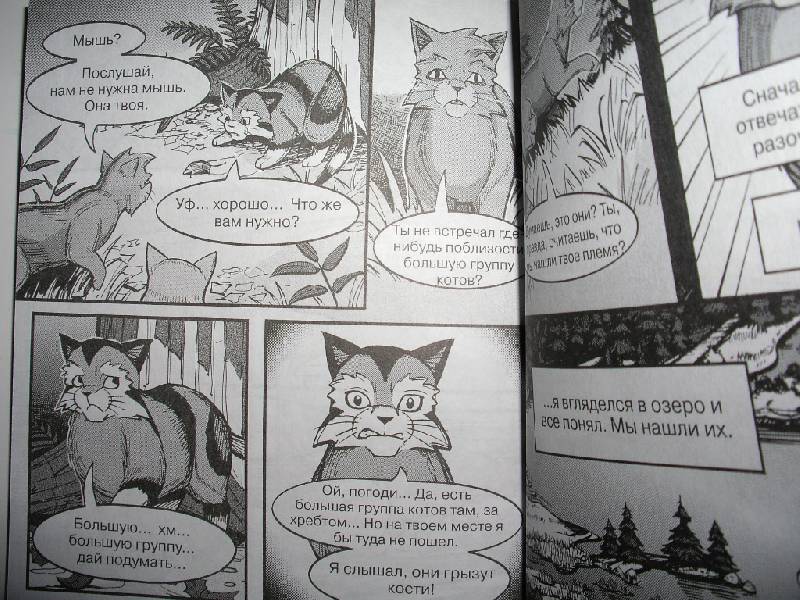 Иллюстрация 41 из 44 для Крутобок & Бич. Комплект комиксов из 4-х книг - Эрин Хантер | Лабиринт - книги. Источник: Tiger.