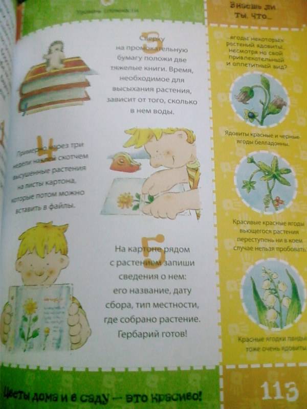 Иллюстрация 45 из 46 для 8+ Большая книга увлекательных занятий для детей | Лабиринт - книги. Источник: lettrice