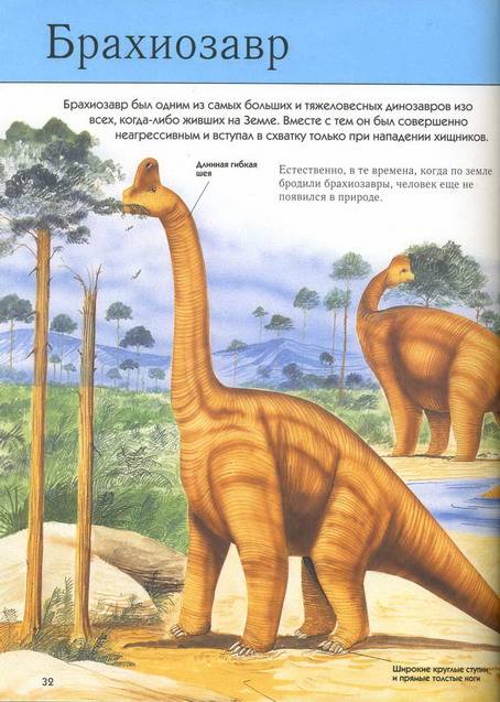 Иллюстрация 3 из 7 для Динозавры. Полная энциклопедия | Лабиринт - книги. Источник: bagirchik