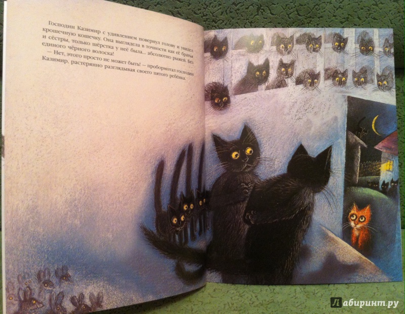 Иллюстрация 14 из 33 для История про кошку Розалинду, непохожую на других - Петр Вилкон | Лабиринт - книги. Источник: Kyu82